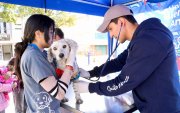 Promotores de bienestar animal recorren barrios de Quito para esterilizar y educar.