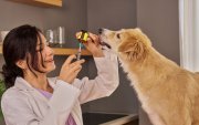 La medicina homeopática aplicada a animales continúa generando debate dentro del campo veterinario.