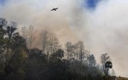 Las aves vuelan junto a un incendio forestal en el Parque Nacional Big Cypress, Jerome, Florida, EE.UU.