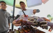 Los comerciantes pueden volver a expender cangrejos en Ecuador.