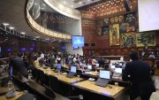 El Pleno de la Asamblea no autorizó el levantamiento de la inmunidad de la asambleísta Mónica Palacios.