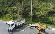 Alrededor de 40 árboles serán retirados en la avenida Simón Bolívar tras presentar deterioro estructural y riesgo de caída