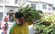 Un trabajador lleva un racimo de plátano para un depósito ubicado en el suroeste de Guayaquil.