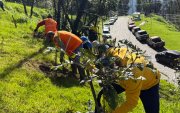 Megaminga. Personal municipal y ciudadanos intervinieron las quebradas, laderas y áreas reforestadas de Quito.