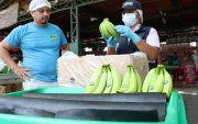 Banano ecuatoriano en EE. UU.: ¿bajarán los precios tras el acuerdo comercial?