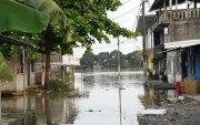 Las lluvias en Ecuador han provocado la muerte de 14 personas y afectado a 71.309.