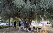 Migrantes argelinos descansan a la sombra de un árbol en un parque de la Estación Marítima de Palma de Mallorca, el 24 de agosto de 2025.