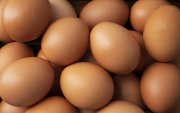 Ecuador tiene el permiso saniario para exportar huevo a Emiratos Árabes Unidos.