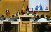 Fernanda Racines y Emilio Uzcátegui entregan 'amicus curiae' para proteger servicios sociales y culturales en Quito