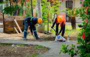 Las autoridades realizan mantenimiento en los parques del sur.