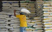 Una persona apila sacos de arroz en una bodega.