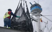 El trabajo de la pesca en Manta.