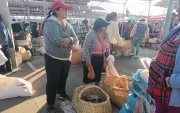 La feria de lunes y viernes de animales menores, mueve la venta de unos 10 mil cuyes y conejos en Ambato