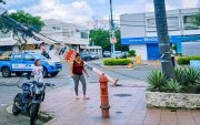 El árbol se cayó y arrastró los cables que estaban conectados a un poste, que se desprendió de su base.