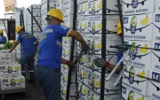 Personal alista las cajas de banano que serán exportadas.