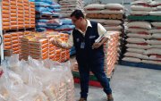 El Gobierno comprará la saca de arroz entre 34 y 36 dólares en Guayas y Los Ríos.