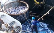 La fundación Tunacons agrupa a 11 empresas y 58 buques.