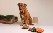 Para que la alimentación sea completa, a más de elegir ingredientes frescos, también es clave equilibrar los macronutrientes.