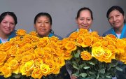 El Municipio de Quito presentó una agenda cultural por el Día de la Madre con conciertos, talleres y eventos comunitarios gratuitos durante mayo de 2026.