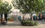 Trabajadores municipales podaron a la enredadera de flores lila.