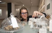 Las obras de Evelyne K.G. Blondeel integran especies como ganoderma, cordyceps, melena de león y hongos ostra, entre otras especies.