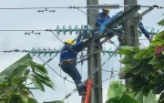 El sistema de transmisión Puerto Inca es uno de los siete proyectos que buscaba dotar de energía al sector acuícola.