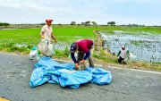El conflicto en Ormuz elevó los precios de los fertilizantes. Productores arroceros advierten que, de tres aplicaciones requeridas por cultivo, ahora solo pueden costear una.
