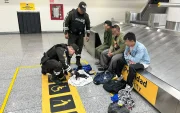 Tres tailandeses detenidos el 20 de mayo en Guayaquil por tráfico de iguanas