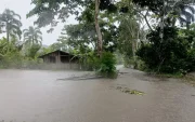 El desbordamiento de los ríos Napo y Misahuallí inundaron varias viviendas en esa provincia de la Amazonía.