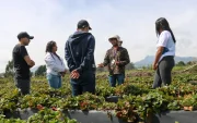 Programa del Minisiterio de Agricultura para que más jóvenes se interesen en trabajar en el campo.
