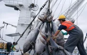 Al ser un sector exportador, la pesca no puede trasladar el incremento a sus compradores internacionales.