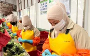 Trabajadores cumplen su jornada de trabajo en una fábrica.