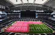 Estadios se pintarán de fucsia por un tratamiento al gramado que pide obligatoriamente la FIFA.