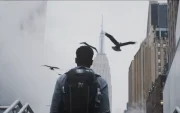 Escena urbana en Nueva York, con el Empire State entre la neblina y aves en vuelo.