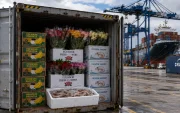 El USTR fijó un arancel adicional de 10% a Ecuador por no aplicar con eficacia su norma contra el trabajo forzado en cadenas de exportación.