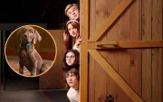 “Scooby-Doo: Origins”, la serie live action que busca dar un giro más profundo y aterrador a la historia.