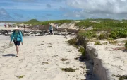 Los turistas que visiten Galápagos deberán seguir recomendaciones para evitar incidentes debido a las condiciones del mar.