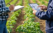 El programa de incentivos financieros del Gobierno destinará $155 millones para ampliar el acceso a créditos de jóvenes emprendedores y pequeños productores agrícolas a través de cooperativas del país.