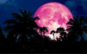 La Luna de Fresa y el solsticio de junio marcarán dos de los principales eventos astronómicos del mes, visibles desde Ecuador si las condiciones climáticas lo permiten.