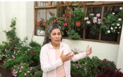 Liz Pereira y cuatro personas más cuidan de más de 20.000 geranios, que colocaron como parte de la iniciativa De Vuelta Al Centro.