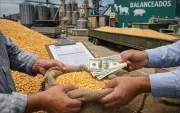 Una foto referencial sobre la comercialización del maíz en Ecuador.