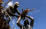 Fotografía del 3 de junio de 2026 de haitianos trabajando en una plantación de caña de azúcar en El Seibo (República Dominicana).