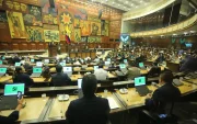 El Pleno de la Asamblea aprobó la resolución para fiscalizar el caso Progen nuevamente.