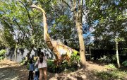 Dinosaurios gigantes con efectos de sonido y movimiento son la gran atracción del Jardín Jurásico en Quito.