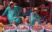 Personas ofreciendo sus productos en un mercado en La Paz (Bolivia).