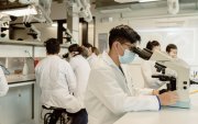 Una revisión científica publicada en Antioxidants identificó que diversos polifenoles presentes en plantas poseen mecanismos antioxidantes y antiinflamatorios con potencial para proteger el cerebro.