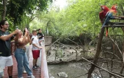El Parque Histórico queda en Samborondón. Ofrece una mirada a especies endémicas que han sido rescatadas.