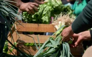 Dedicó su vida a la investigación, la docencia y el impulso de la agricultura orgánica en Ecuador