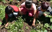 La programación se dividirá en dos ejes temáticos. El primero, denominado "Agua y Vida", abordará la importancia del agua, la biodiversidad y la gestión comunitaria.