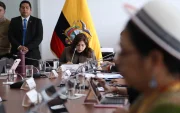 Inés Alarcón preside la Comisión de Seguridad de la Asamblea Nacional.